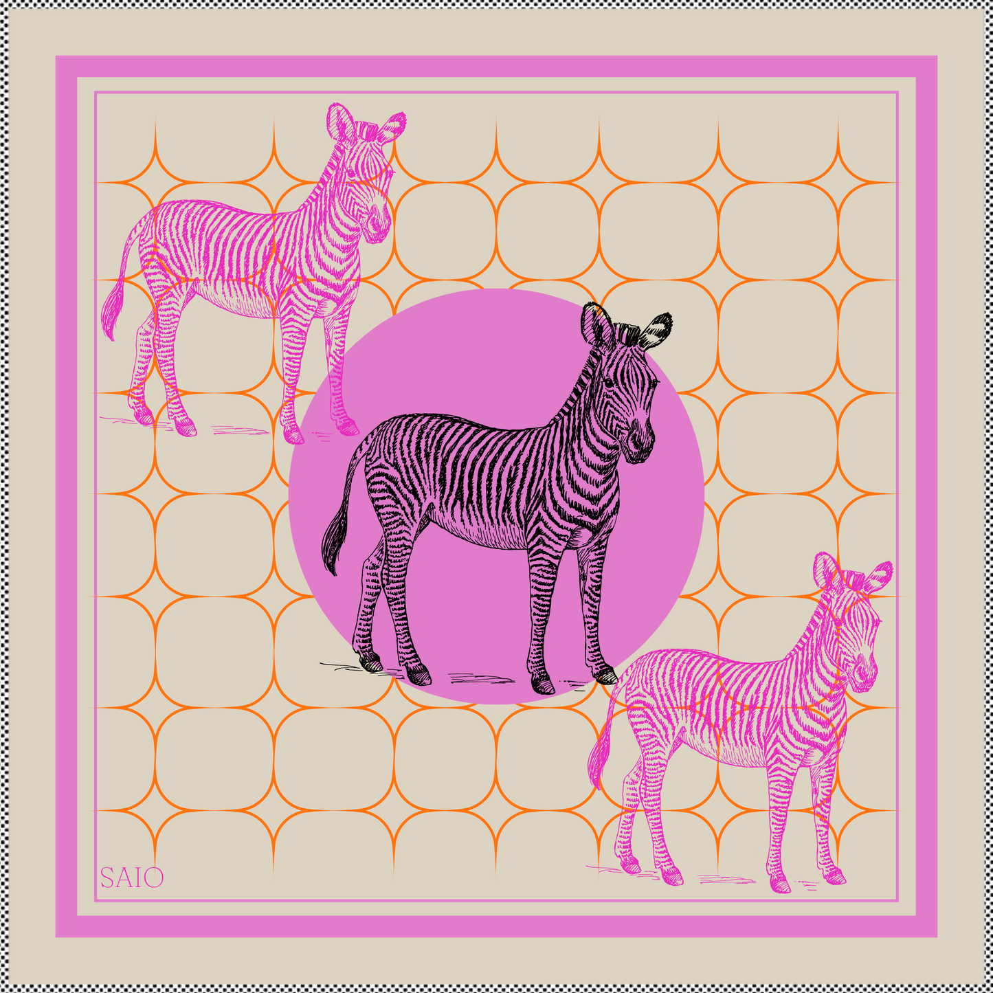 Wild Zebra