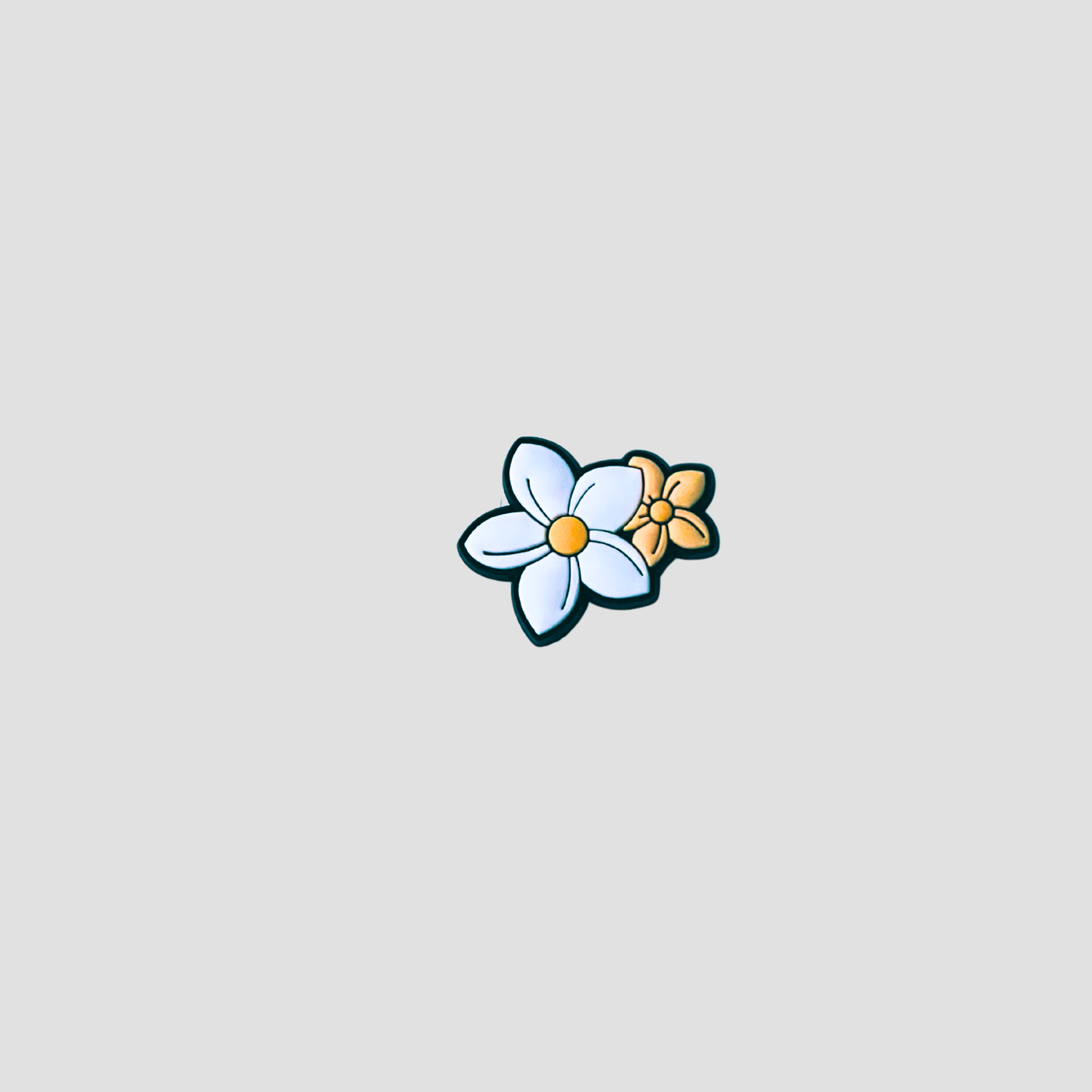 Daisy Bloom
